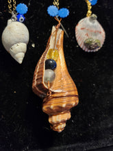 Load image into Gallery viewer, Voice