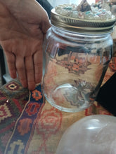 Load image into Gallery viewer, Medicine wheel