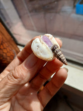 Load image into Gallery viewer, Pink serpent