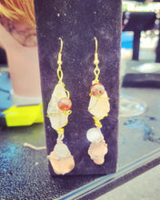 Load image into Gallery viewer, Lions gate magic mushrooms