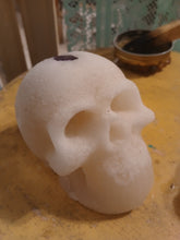 Load image into Gallery viewer, Sugar sulls